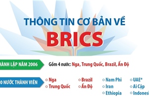 Thông tin cơ bản về BRICS