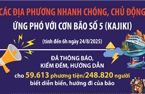 Các địa phương nhanh chóng, chủ động ứng phó với bão số 5