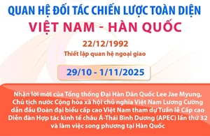 Quan hệ Đối tác chiến lược toàn diện Việt Nam - Hàn Quốc