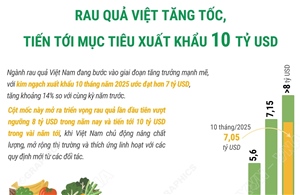 Rau quả Việt tăng tốc, tiến tới mục tiêu xuất khẩu 10 tỷ USD