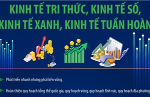 Xác lập mô hình tăng trưởng mới: Kinh tế tri thức, kinh tế số, kinh tế xanh, kinh tế tuần hoàn