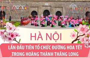 Hà Nội: Lần đầu tiên tổ chức Đường hoa Tết trong Hoàng thành Thăng Long