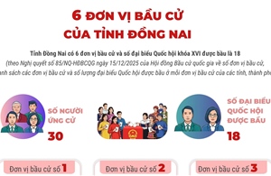 6 đơn vị bầu cử của tỉnh Đồng Nai