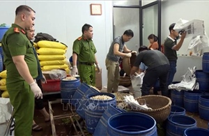 Khởi tố, bắt tạm giam 2 đối tượng sản xuất giá đỗ bằng chất cấm