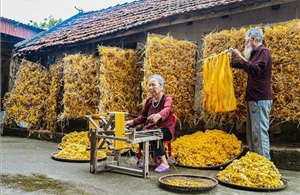 Hành trình của sợi tơ: Từ kén tằm đến đũi thành phẩm
