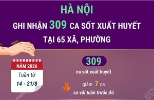 Hà Nội ghi nhận 309 ca mắc sốt xuất huyết tại 65 xã, phường