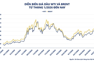 Giá dầu thô và kim loại quý đồng loạt tăng, MXV-Index vượt mốc 3.000 điểm