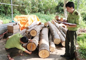 Định Hóa - &#39;điểm sáng&#39; trong công tác quản lý, bảo vệ rừng ở Thái Nguyên