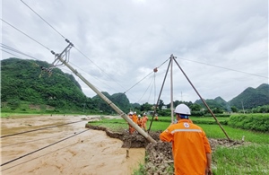 Công ty Điện lực Sơn La: Khôi phục cấp điện trở lại cho trên 15.580 khách hàng