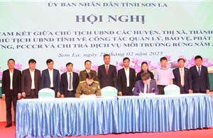 Sơn La đẩy mạnh công tác quản lý, bảo vệ, phát triển rừng và chi trả dịch vụ môi trường rừng 