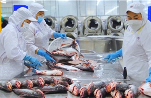 Từ &#39;phế phẩm&#39; thành nguồn thu ngoại tệ