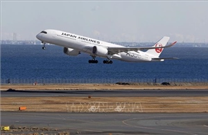 Japan Airlines khôi phục hoạt động sau tấn công mạng nghiêm trọng