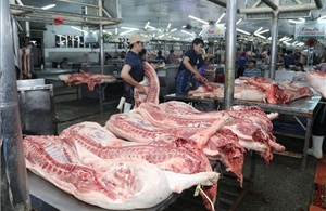 Xử lý thông tin phản ánh về giá thịt lợn