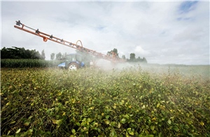 FAO quan ngại về việc gia tăng sử dụng thuốc trừ sâu