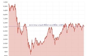 Phiên 19/12/2024: VN-Index giảm hơn 11 điểm