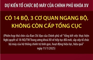 Dự kiến tổ chức bộ máy của Chính phủ khóa XV