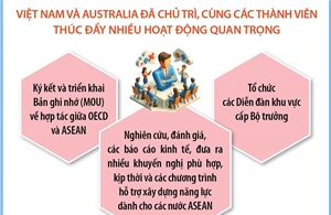 Việt Nam hoàn thành vai trò Đồng Chủ tịch Chương trình Đông Nam Á (SEARP) giai đoạn 2022 - 2025