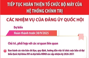 Tiếp tục hoàn thiện tổ chức bộ máy của hệ thống chính trị: Các nhiệm vụ của Đảng ủy Quốc hội