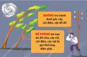 Các biện pháp phòng tránh khi bão đổ bộ