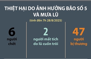 Thiệt hại do ảnh hưởng bão số 5 và mưa lũ