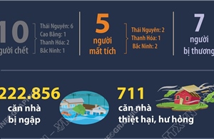 Thiệt hại do mưa lớn sau bão số 11 (tính đến sáng 9/10/2025)
