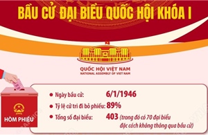 Kết quả bầu cử đại biểu Quốc hội từ khóa I đến khóa XV
