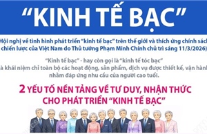 Định hướng phát triển 'kinh tế bạc' tại Việt Nam