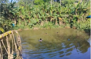 Theo cha mẹ lên rẫy, cháu bé 9 tuổi đuối nước thương tâm