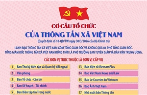 Cơ cấu tổ chức của Thông tấn xã Việt Nam theo Quyết định số 18-QĐ/TW ngày 30/3/2026 của Bộ Chính trị