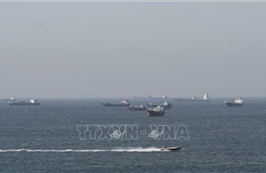 Tổ chức Hàng hải quốc tế cảnh báo rủi ro cao tại eo biển Hormuz