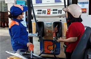 VAMA: Phần lớn dòng xe tại Việt Nam tương thích xăng E10 tiêu chuẩn Euro 4 trở lên