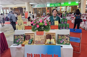 Hương trà sen Quảng An: Tinh hoa OCOP gìn giữ hương sen Tây Hồ