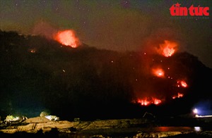 Lửa vẫn đang cháy lớn trên núi Cô Tô