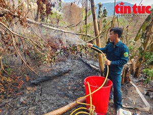 Hàng trăm người vẫn đang nỗ lực xử lý vụ cháy trên rừng Núi Tô