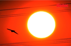 Mặt trời như ‘trứng muối’ nhuộm cam bầu trời TP Hồ Chí Minh