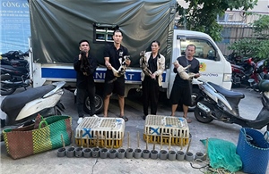 Công an TP Hồ Chí Minh triệt xóa nhóm chuyên trộm cắp, tiêu thụ mèo quy mô lớn