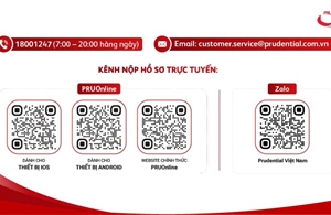 Prudential tích cực hỗ trợ khách hàng bị ảnh hưởng bởi bão Yagi