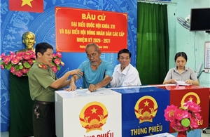 Tỷ lệ cử tri TP Hồ Chí Minh đi bầu cử đạt gần 97%