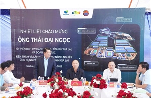 DHN Gia Lai vận hành sớm 10 tháng, mở rộng chuỗi chăn nuôi hiện đại
