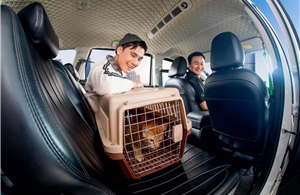 Grab mở rộng dịch vụ GrabCar Thú Cưng ra Hà Nội