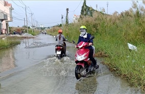 Bạc Liêu chuẩn bị ứng phó với triều cường có cường độ rất mạnh