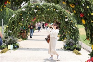 Mexico: Rực rỡ Festival Hoa và Vườn 2024 