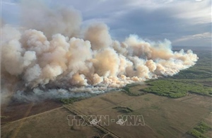 Canada: Khoảng 6.000 người dân phải sơ tán do cháy rừng