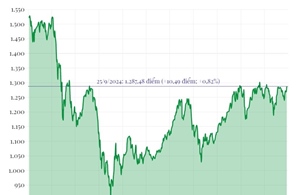 Phiên 25/9/2024: VN-Index tăng hơn 10 điểm