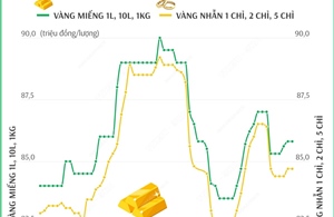 Giá vàng SJC sáng 1/12: Vàng miếng, vàng nhẫn lần lượt ở mức 85,8 và 84,7 triệu đồng/lượng