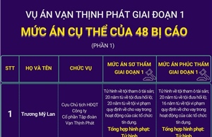 Mức án cụ thể của 48 bị cáo trong vụ án Vạn Thịnh Phát giai đoạn 1