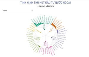 Thu hút đầu tư nước ngoài 11 tháng năm 2024