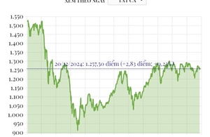 Phiên 20/12/2024: VN-Index tăng gần 3 điểm
