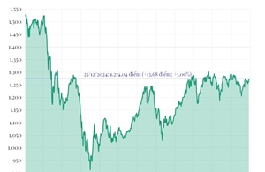 Phiên 25/12/2024: VN-Index tăng gần 14 điểm