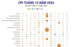 CPI tháng 12/2024 tăng 0,29%